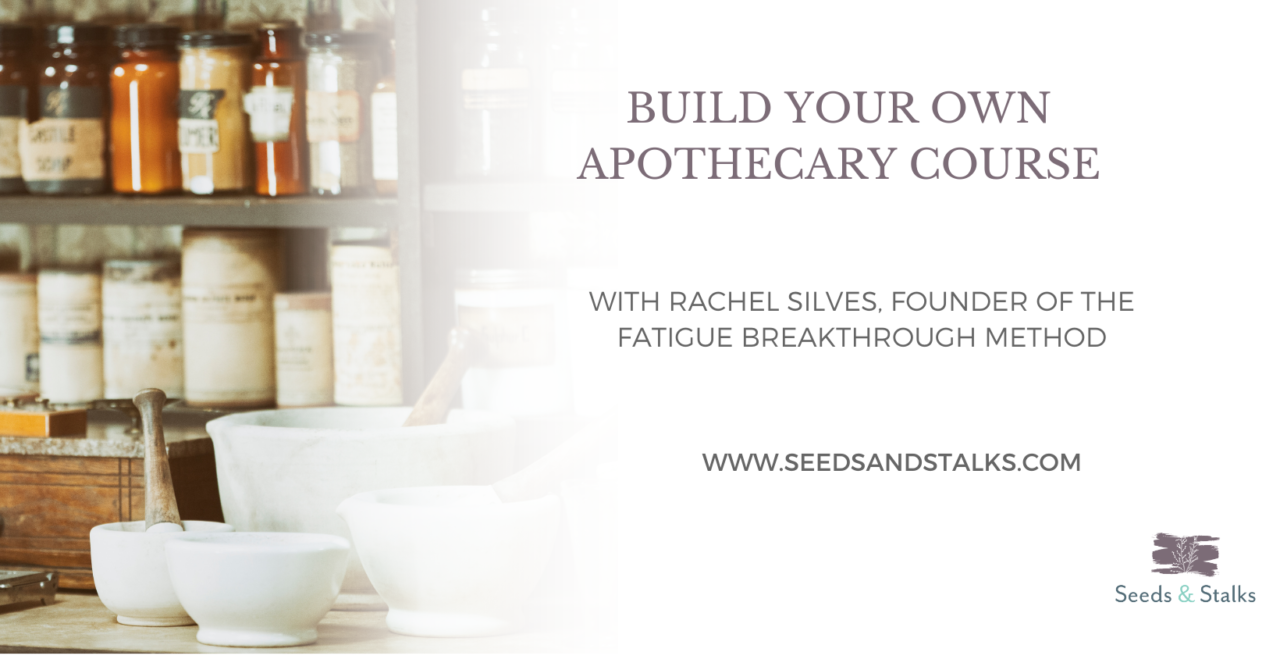 Build Your Own Apothecary Course Seeds and Stalks