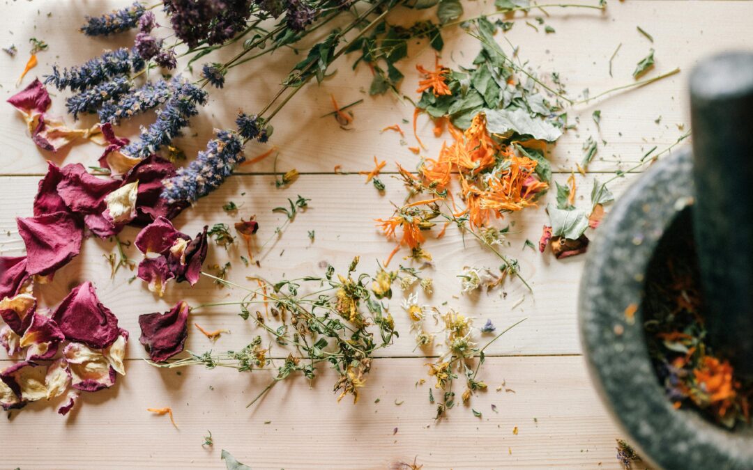 5 Herbs & Essential Oils Every Mom Needs in Her Natural First Aid Kit