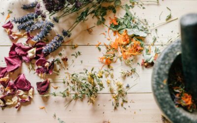 5 Herbs & Essential Oils Every Mom Needs in Her Natural First Aid Kit